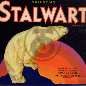 Stalwart Brand Valencias