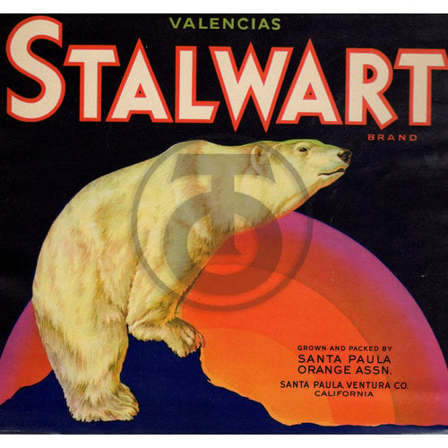 Stalwart Brand Valencias