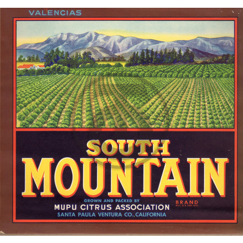 South Mountain - Mupu Citrus Assn