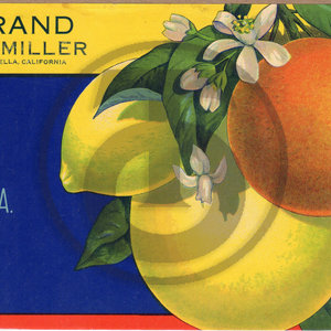 Sam Miller Brand - As Is