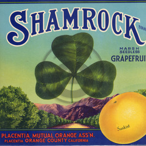 Shamrock Brand Grapefruit