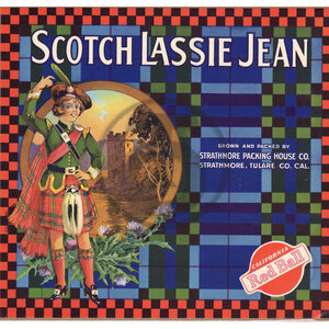 Scotch Lassie Jean Brand Scotch Lassie Jean Brand