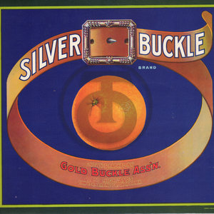 SIlver Buckle Brand