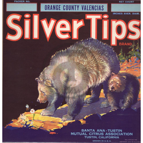 Silver Tips Brand