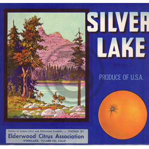 Silver Lake Brand - Elderwood Citrus Assn Silver Lake Brand - Elderwood Citrus Assn
