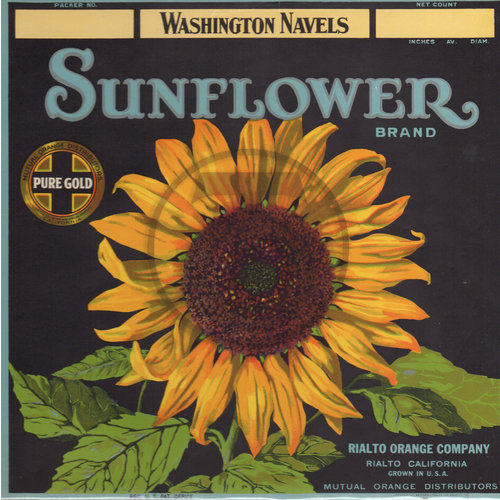 Sunflower Brand Washington Navels Sunflower Brand Washington Navels