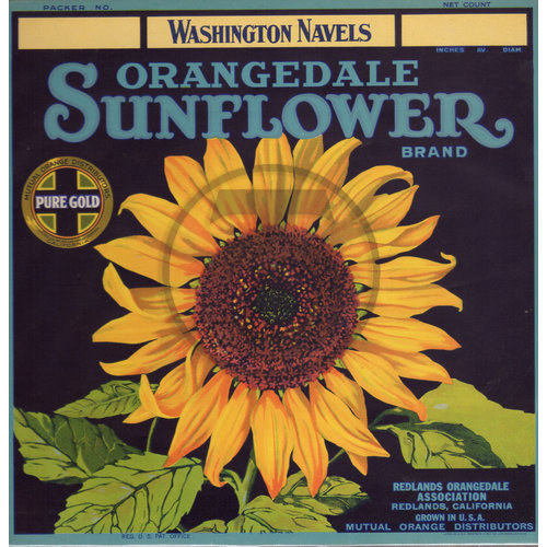 Sunflower Orangedale Washington Navels