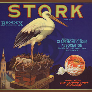 Stork Brand