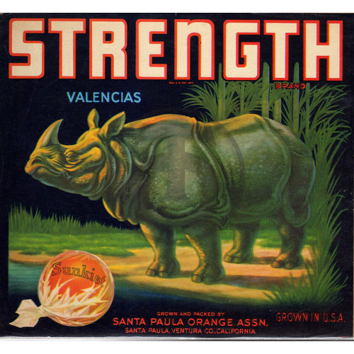 Strength Brand Valencias Rhinoceros