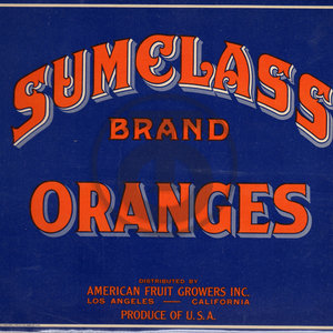 Sumclass Brand Oranges