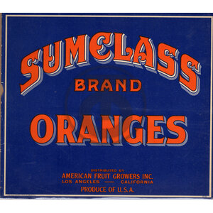 Sumclass Brand Oranges
