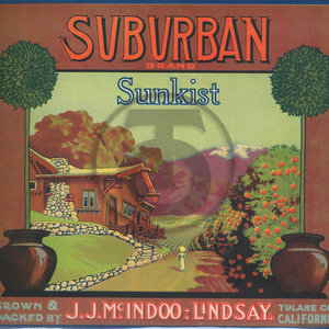 Suburban Brand - Sunkist