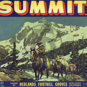 Summit