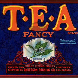 T-E-A Fancy