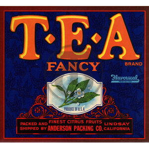 T-E-A Fancy T-E-A Fancy