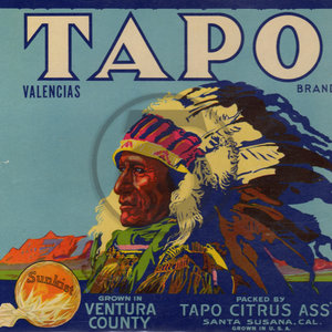Tapo