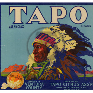 Tapo Tapo