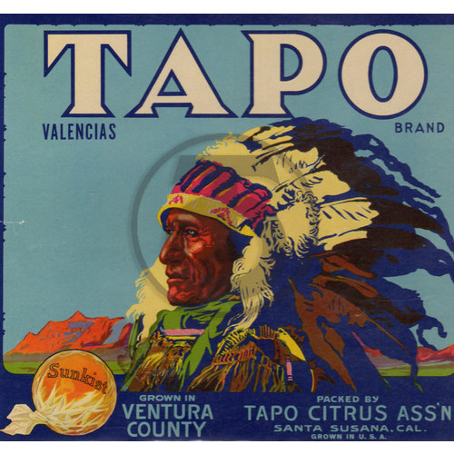 Tapo