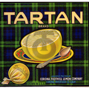Tartan Tartan
