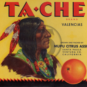 Ta-Che