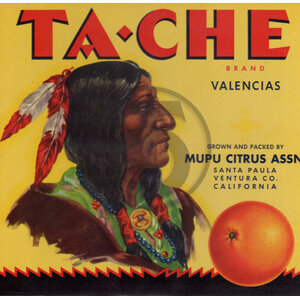 Ta-Che Ta-Che
