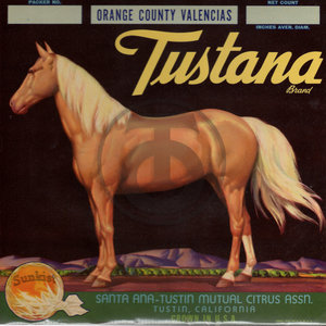 Tustana Brand