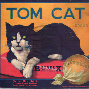 Tom Cat Brand - As Is-
