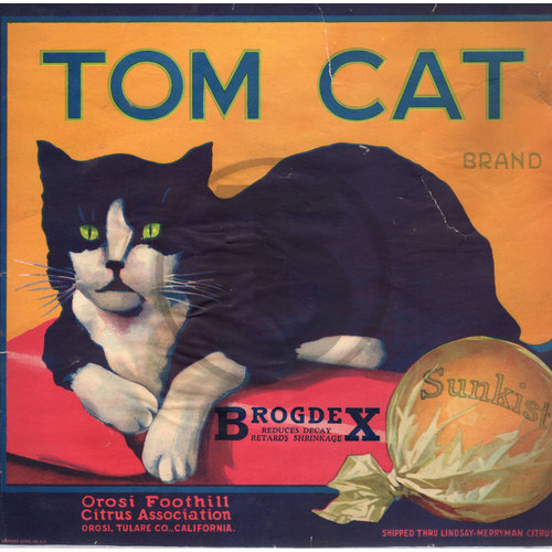 Tom Cat Brand - As Is-