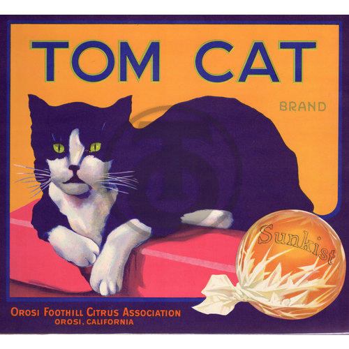 Tom Cat Brand