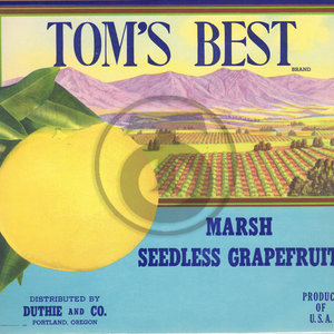 Tom's Best