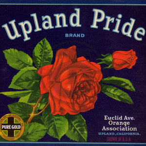 Upland Pride
