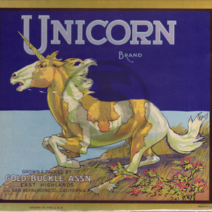 Unicorn Brand