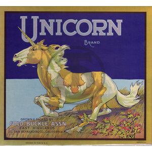Unicorn Brand