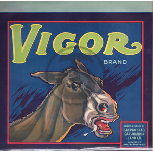 Vigor Brand Vigor Brand