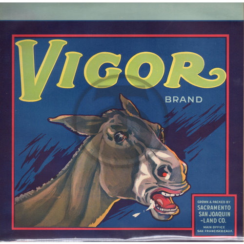 Vigor Brand