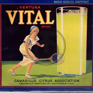 Vital Brand - Grapefruit