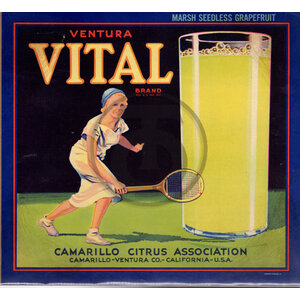 Vital Brand - Grapefruit Vital Brand - Grapefruit