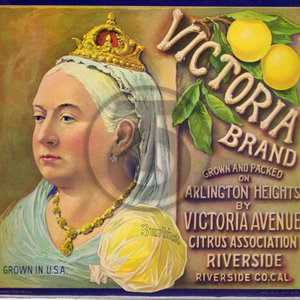 Victoria Brand - Grapefruit - Sunkist