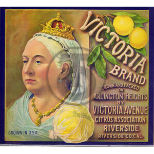 Victoria Brand - Grapefruit - Sunkist