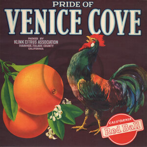 Pride of Venice Cove