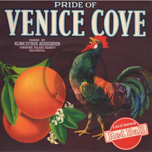 Pride of Venice Cove