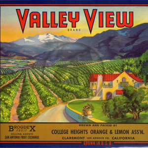 Valley View Brand