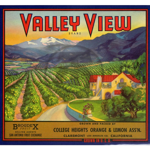 Valley View Brand