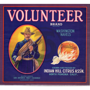 Volunteer Brand - Sunkist