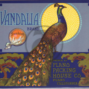 Vandalia Brand - Sunkist