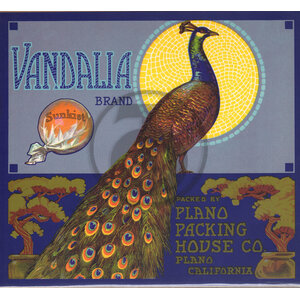 Vandalia Brand - Sunkist Vandalia Brand - Sunkist
