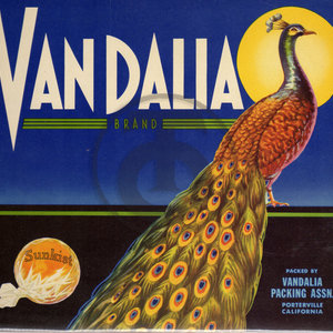 Vandalia Brand
