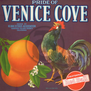 Pride of Venice Cove