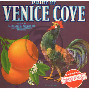 Pride of Venice Cove