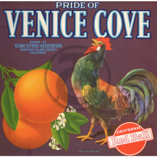 Pride of Venice Cove